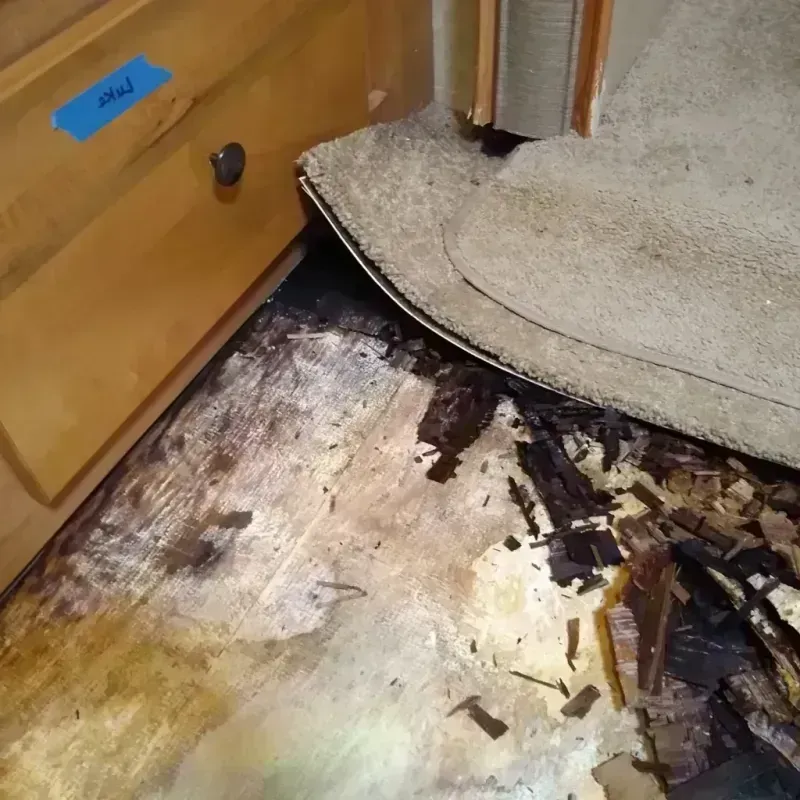 Best Wood Floor Water Damage Service in Hiland Park, FL